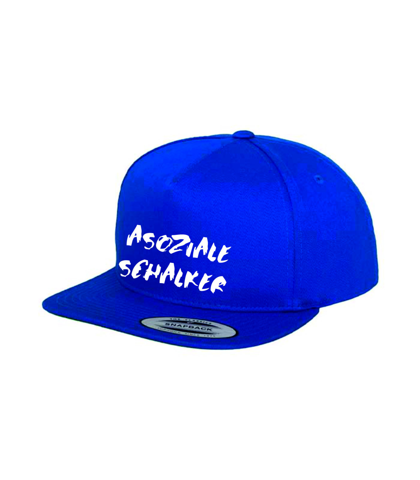 Asoziale Schalker Asoziale Schalker